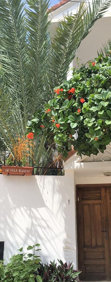 La Villa Blanche Dakar Bagian luar foto
